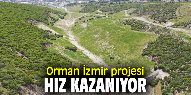 Orman İzmir kampanyası devam ediyor