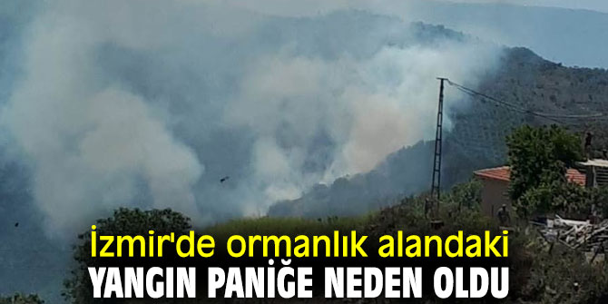 İzmir'de ormanlık alandaki yangın paniğe neden oldu