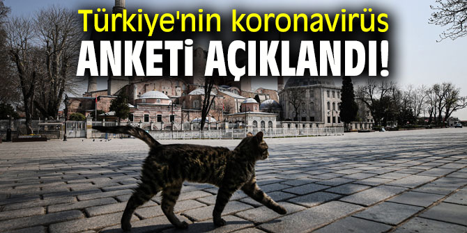 Türkiye'nin koronavirüs anketi açıklandı!