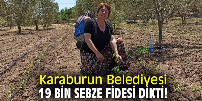 Karaburun Belediyesi, 19 bin sebze fidesi dikti!