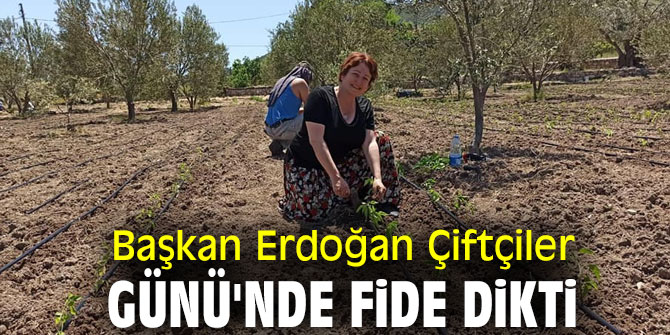 Başkan Erdoğan Çiftçiler Günü'nde fide dikti 