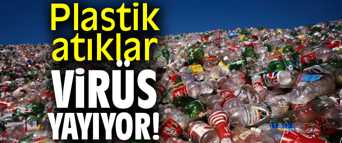 Plastik atıklar virüs yayıyor!