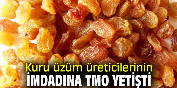 Kuru üzüm üreticilerinin imdadına TMO yetişti