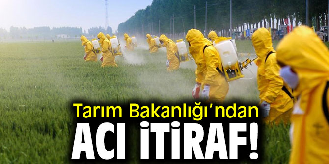 Tarım Bakanlığı’ndan acı itiraf! Pestisitler kullanılıyor