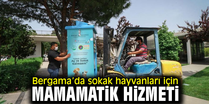 Bergama’da sokak hayvanları için mamamatik hizmeti