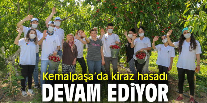 Üretici de gönüllü de memnun