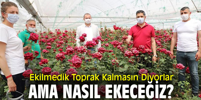 Ekilmedik Toprak Kalmasın Diyorlar Ama Nasıl Ekeceğiz?