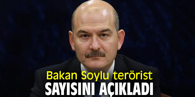 Bakan Soylu Irak'ın kuzeyindeki terörist sayısını açıkladı