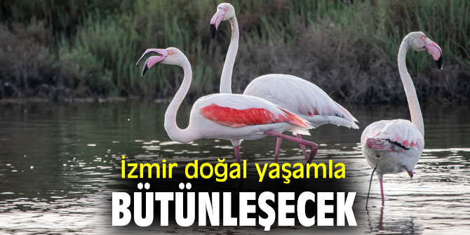 Başkan Soyer, Doğa Rotası’ projesini yerinde inceledi