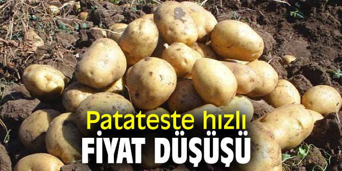 Patateste hızlı fiyat düşüşü