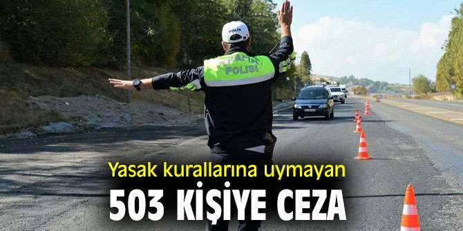 Yasak kurallarına uymayan 503 kişiye ceza