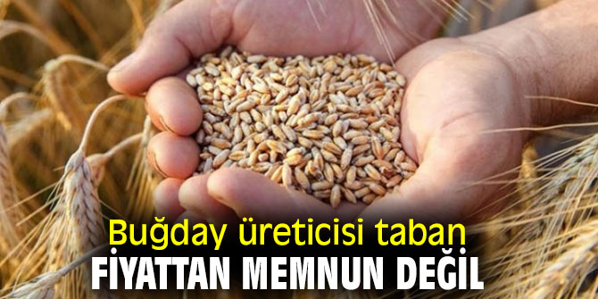 Buğday üreticisi taban fiyattan memnun değil