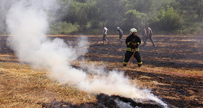 Emekli savcı tarlada ölü bulundu