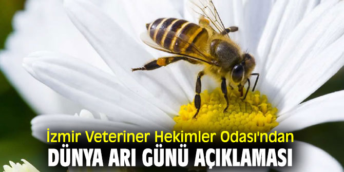 İzmir Veteriner Hekimler Odası'ndan Dünya Arı Günü açıklaması