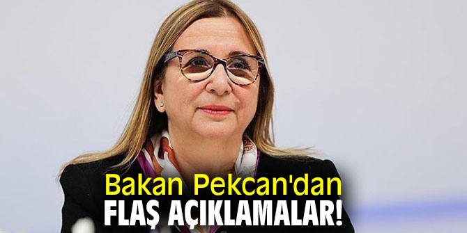 Bakan Pekcan'dan flaş açıklamalar! Yeni pazara girene 5 yıl destek