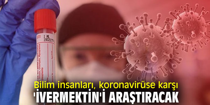 Koronavirüse karşı 'İvermektin'i araştırılacak!