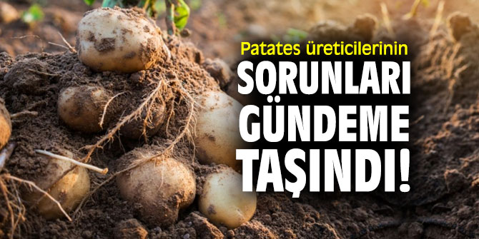 Patates üreticilerinin sorunları gündeme taşındı!