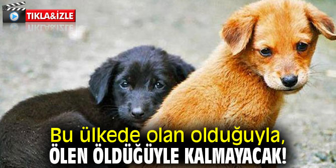 Bu ülkede olan olduğuyla, ölen öldüğüyle kalmayacak!