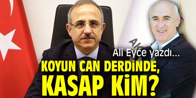 KOYUN CAN DERDİNDE, KASAP KİM?