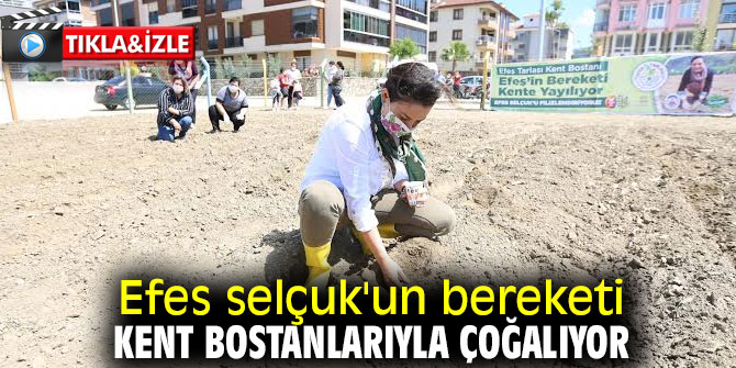 Kent bostanlarıyla bereket çoğalıyor!