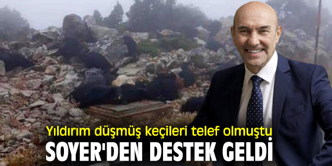 Keçileri telef olmuştu, Başkan Soyer'den destek geldi