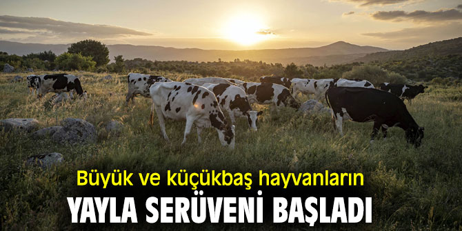 Başkan Soyer, 'Mera varsa hayat vardır'