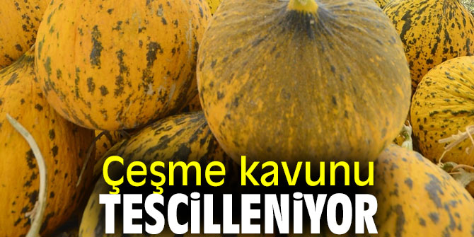 Çeşme kavunu 'coğrafi işaretli ürün' oluyor!