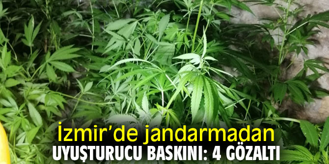 İzmir'de jandarmadan uyuşturucu baskını: 4 gözaltı