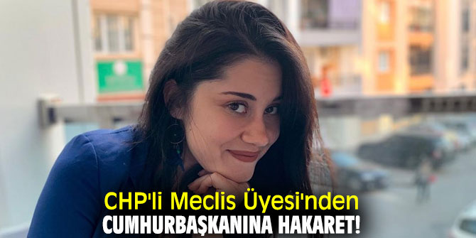 CHP'li Meclis Üyesi'nden Cumhurbaşkanına Ağır Hakaret!