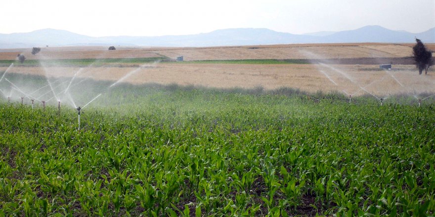 Uşak'ta tarım arazileri sulanmaya başlandı!