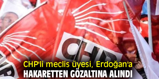 CHP'li meclis üyesi, Erdoğan'a hakaretten gözaltına alındı
