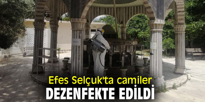 Efes Selçuk'ta camiler dezenfekte edildi