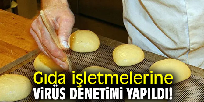 Gıda işletmelerine virüs denetimi yapıldı!
