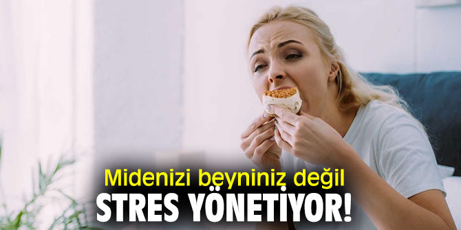 Midenizi stres yönetiyor!