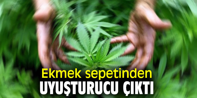 İzmir'de Ekmek sepetinden uyuşturucu çıktı