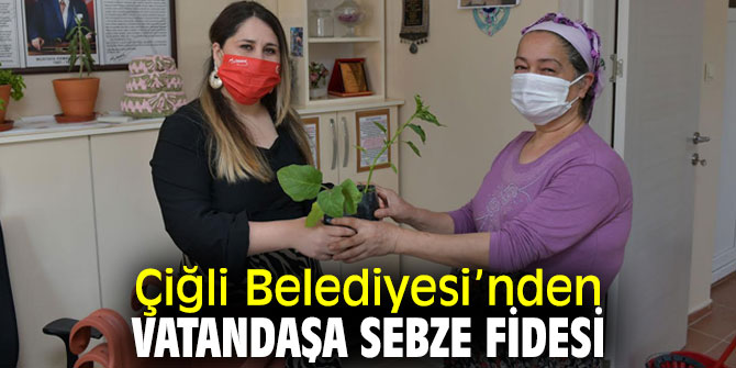 Çiğli Belediyesi, vatandaşa sebze fidesi dağıttı!