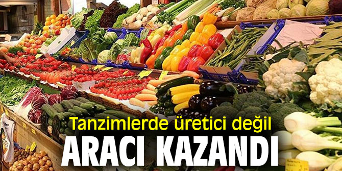 Tanzimlerde üretici değil aracı kazandı