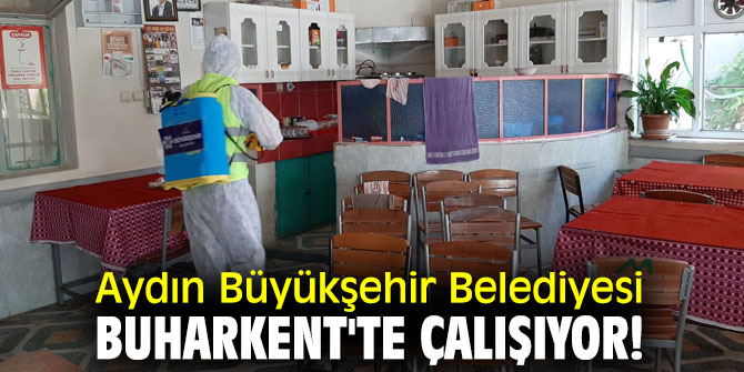 Aydın Büyükşehir Belediyesi, Buharkent'te çalışıyor!