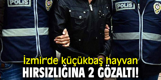 İzmir'de küçükbaş hayvan hırsızlığına 2 gözaltı!