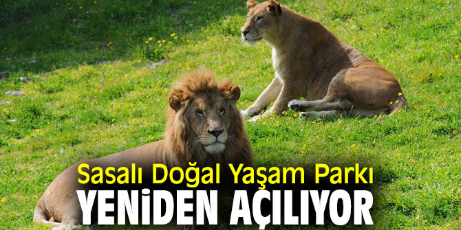 Sasalı Doğal Yaşam Parkı yeniden açılıyor 