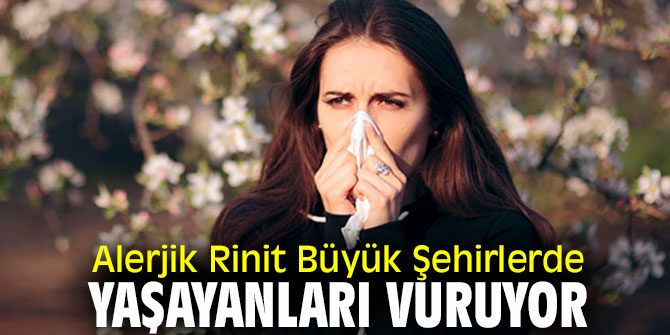 Alerjik Rinit En Çok Büyük Şehirlerde Yaşayanları Vuruyor