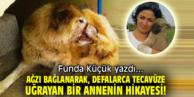 Ağzı bağlanarak, defalarca tecavüze uğrayan bir annenin hikayesi!