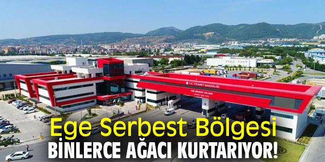 Ege Serbest Bölgesi binlerce ağacı kurtarıyor!
