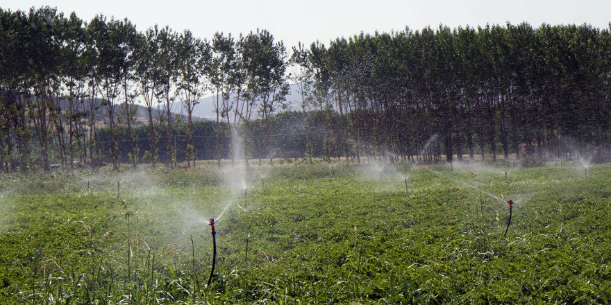 Manisa'da Tarım Arazilerinin Sulanma Hazırlıklarına Başlandı