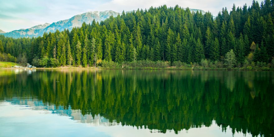 TEMA'dan Dünya Çevre Günü mesajı!