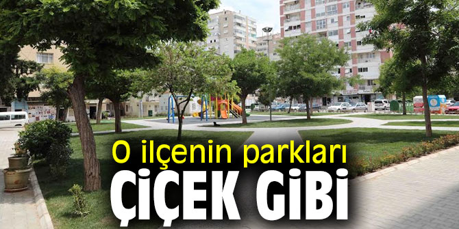 O ilçenin parkları çiçek gibi