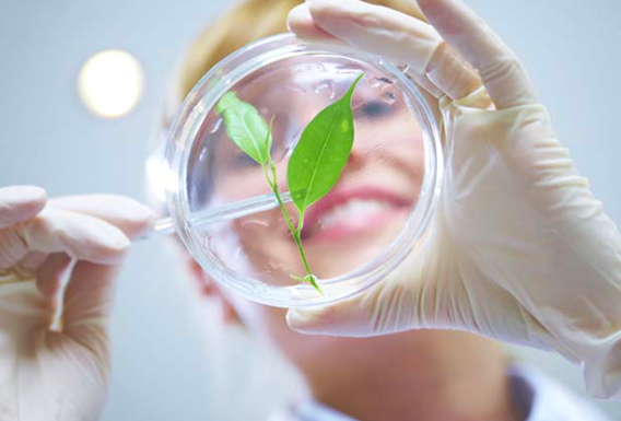 Expanscience, “Örnek Firma” derecesi