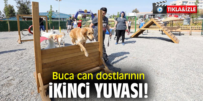Buca’nın can dostları merkezi başarısıyla göz dolduruyor!