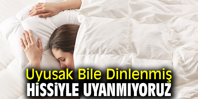 Dikkat! Uyusak Bile Dinlenmiş Hissiyle Uyanmıyoruz