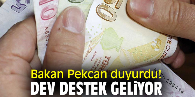 Bakan Pekcan açıkladı! Destek 10 yıl sürecek
